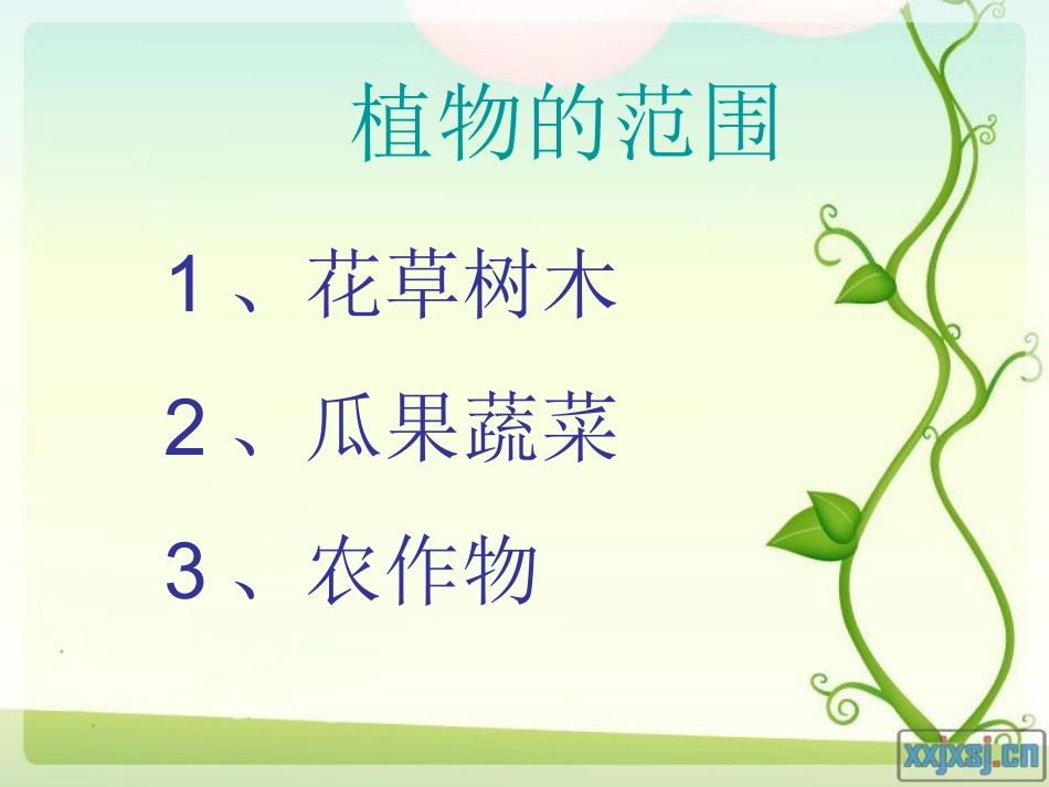 六年下《观察植物抓住特点写作》_第2页