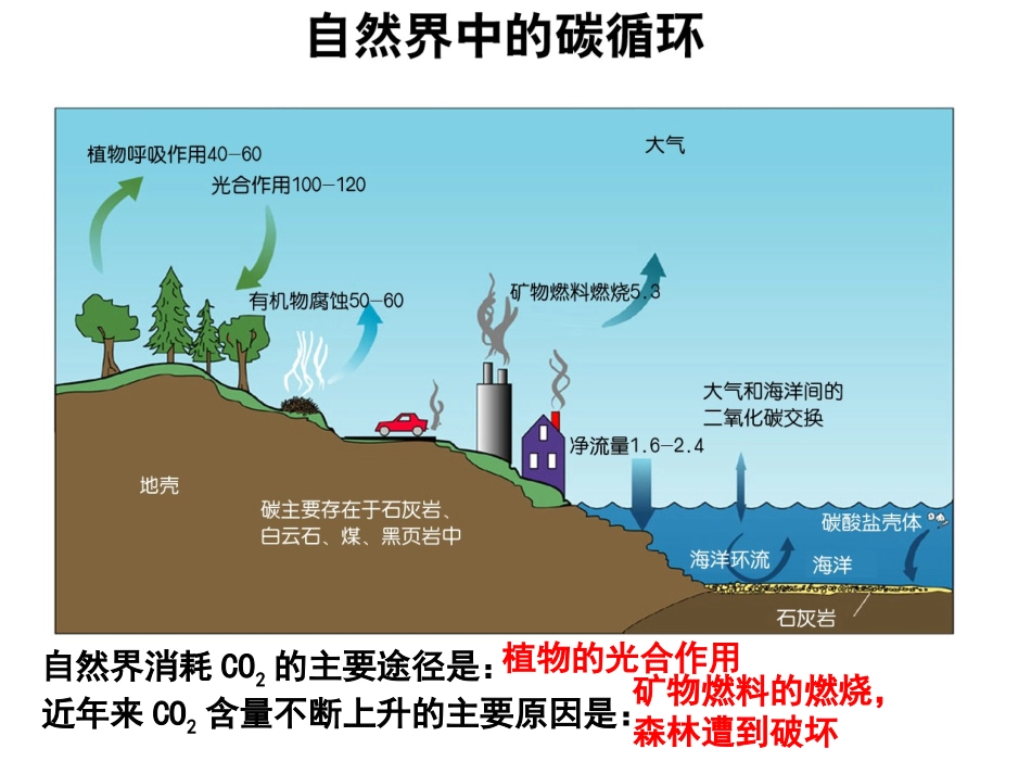 二氧化碳复习课件_第2页