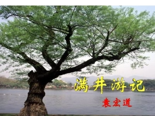 满井游记PPT课件