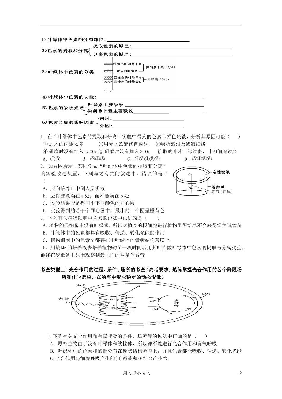 高中生物 光合作用学案_第2页