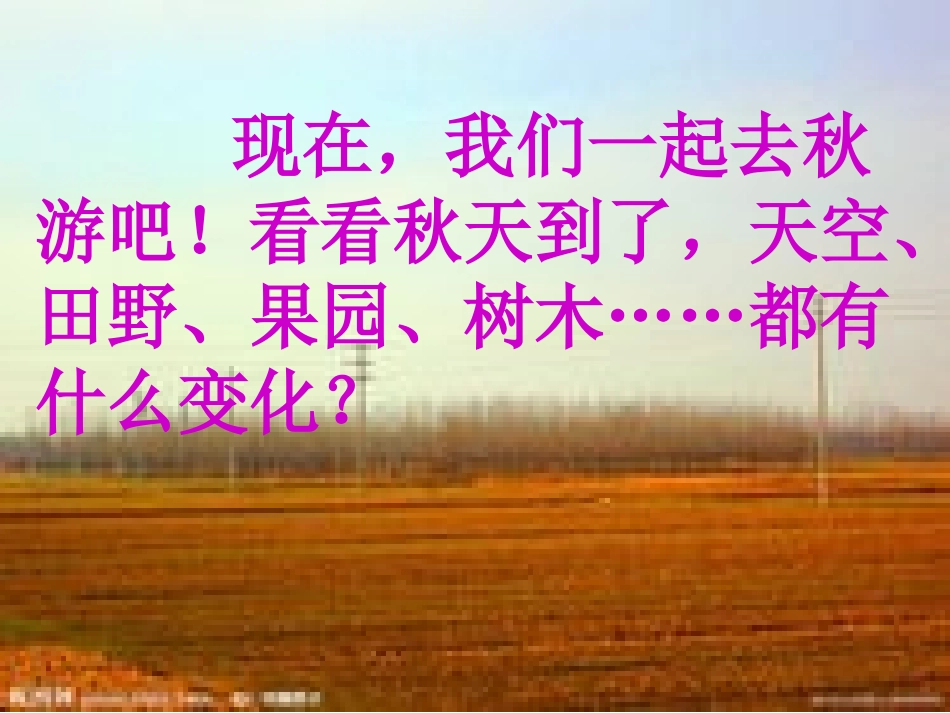 《美丽的秋天》课件1_第3页