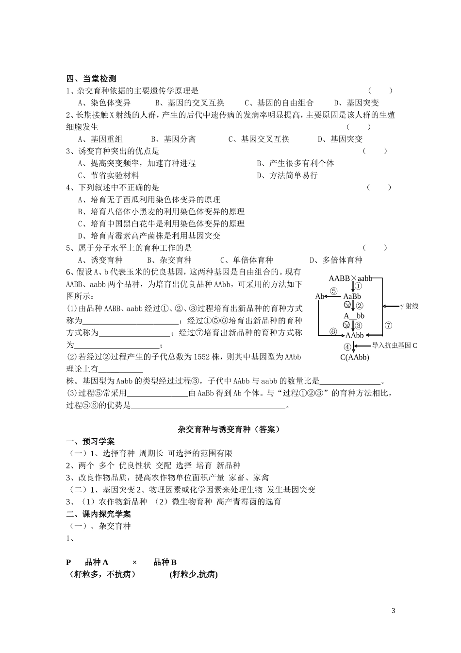 高中生物 第六章第1节《杂交育种与诱变育种》导学案 新人教版必修2_第3页