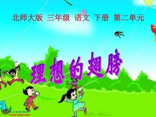 北师大版三年级语文下册《理想的翅膀2》PPT课件