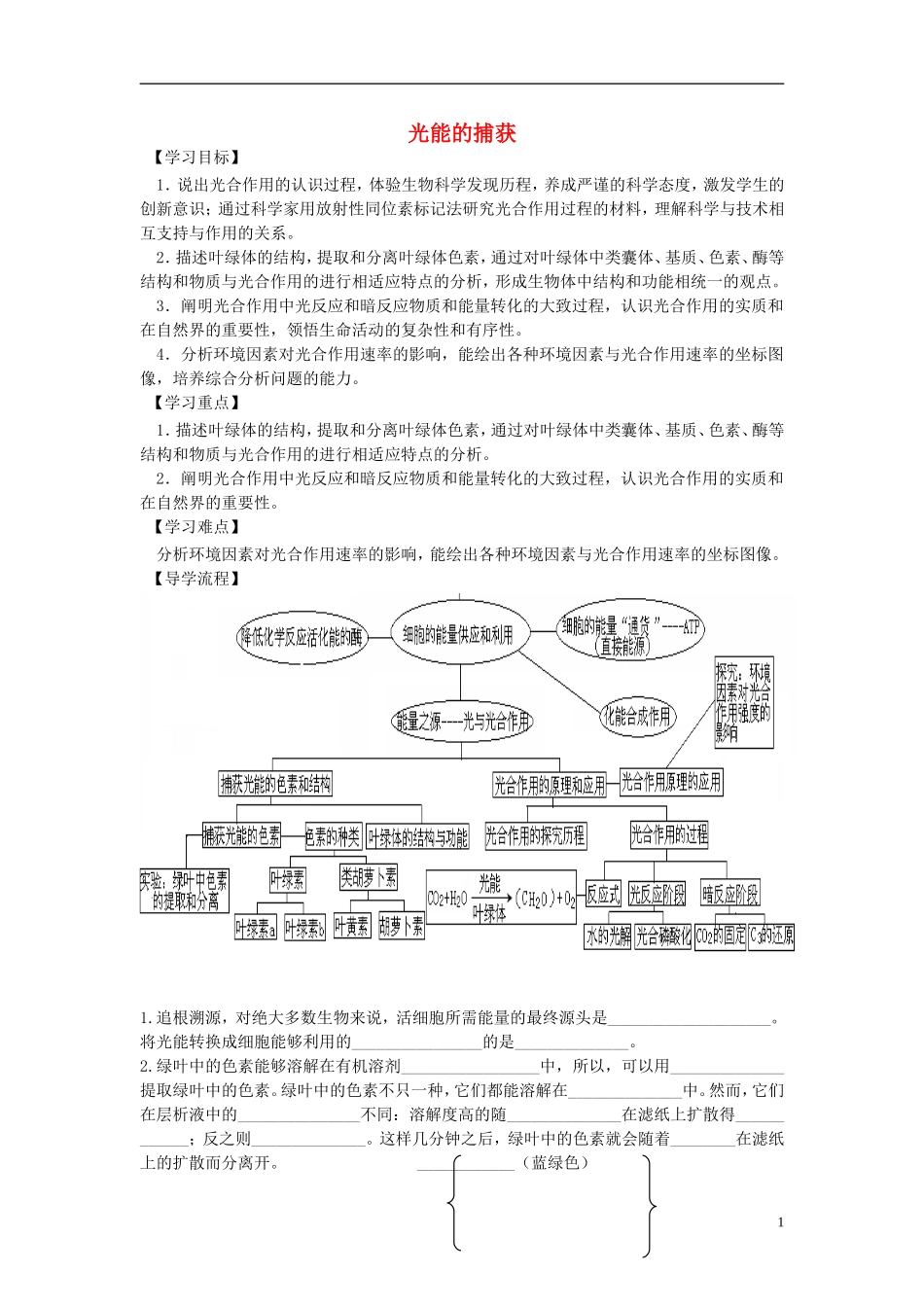 高中生物《光能的捕获》学案10 中图版必修1_第1页