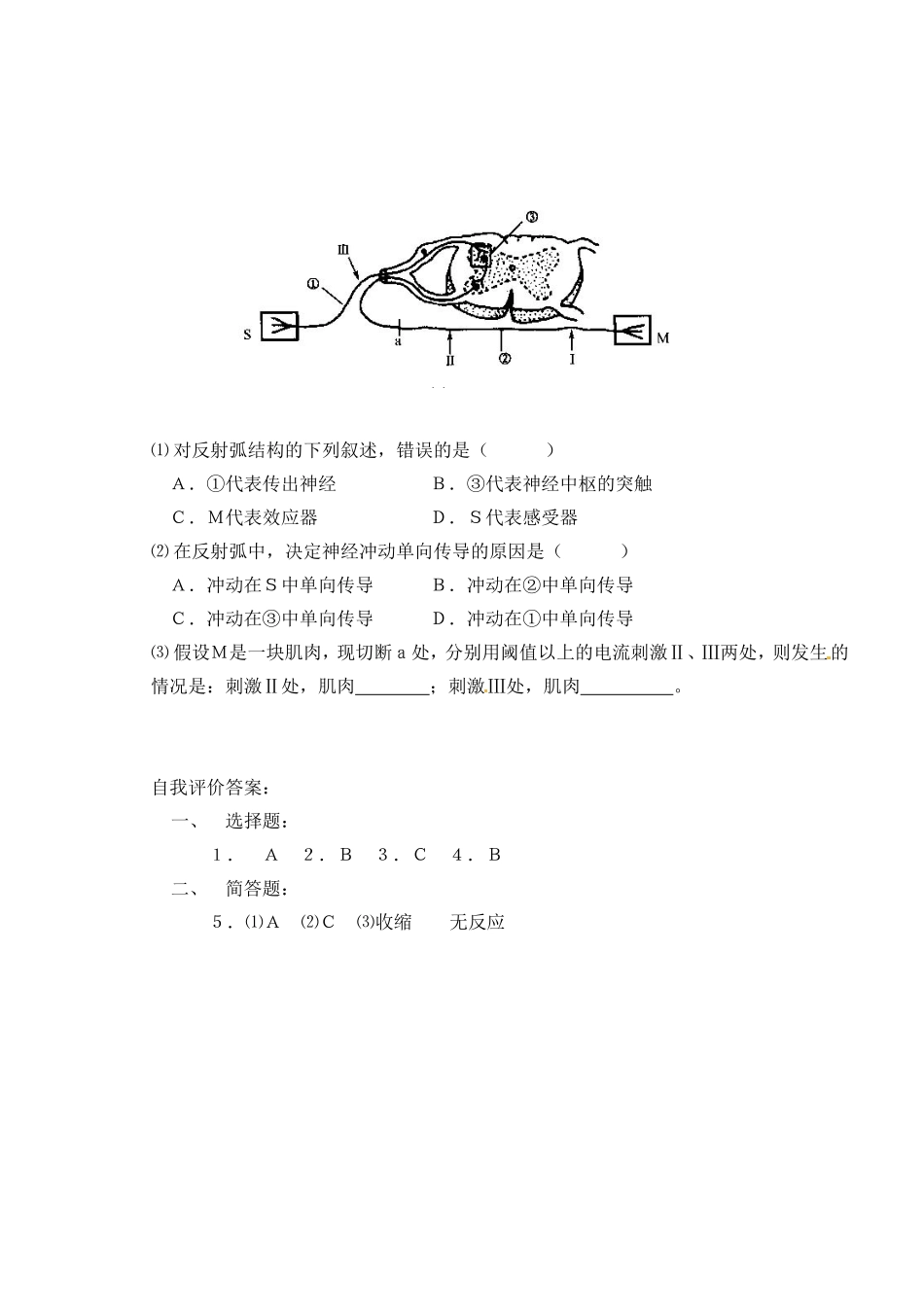 高考生物 第四章 第二节 人和高等动物生命活动的调节 神经调节细胞核学案-人教版高三全册生物学案_第3页
