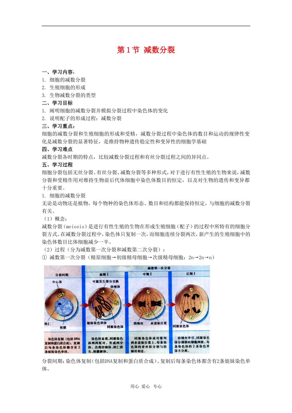 高中生物：2.1《减数分裂》学案（苏教版必修2）_第1页