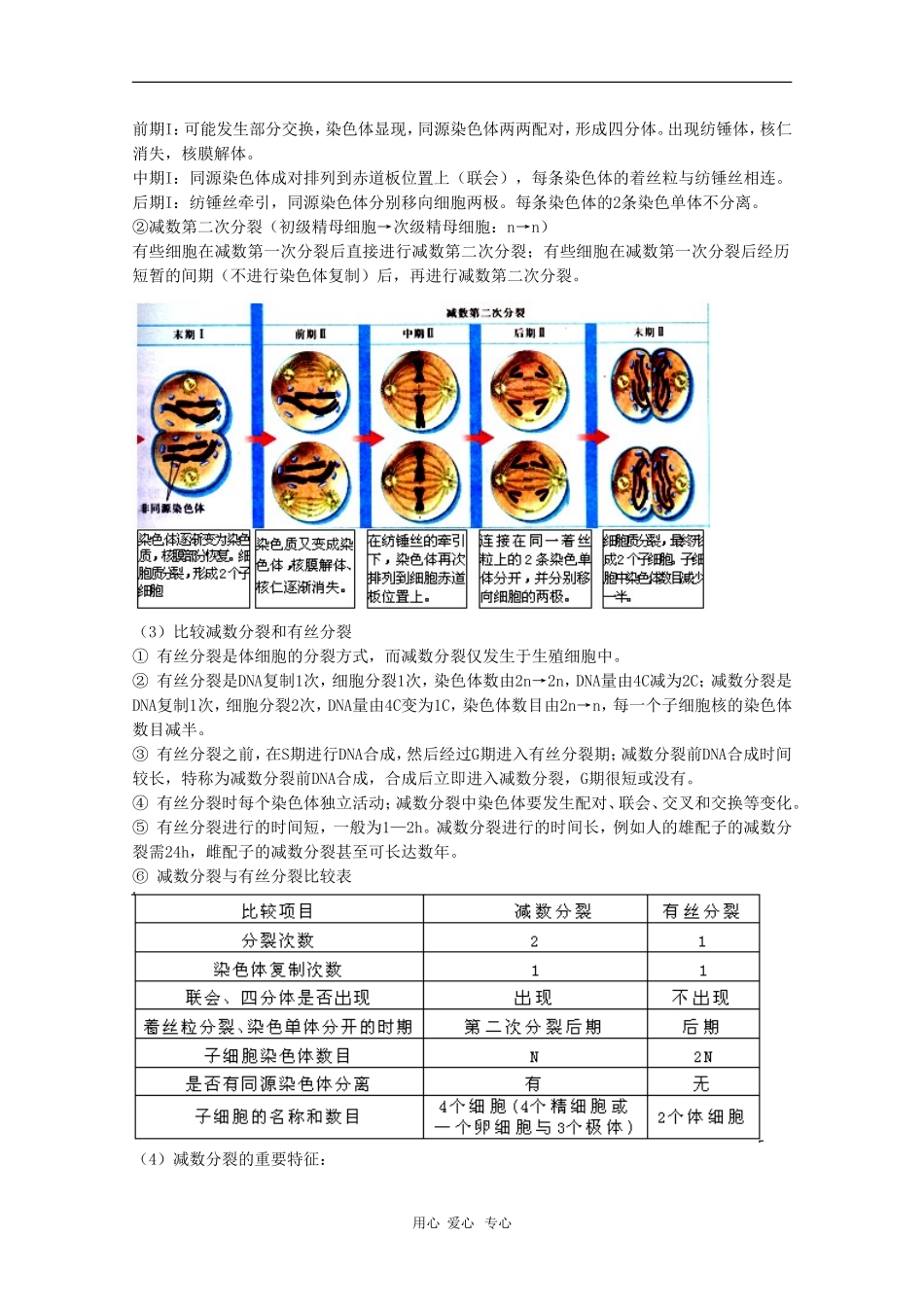 高中生物：2.1《减数分裂》学案（苏教版必修2）_第2页