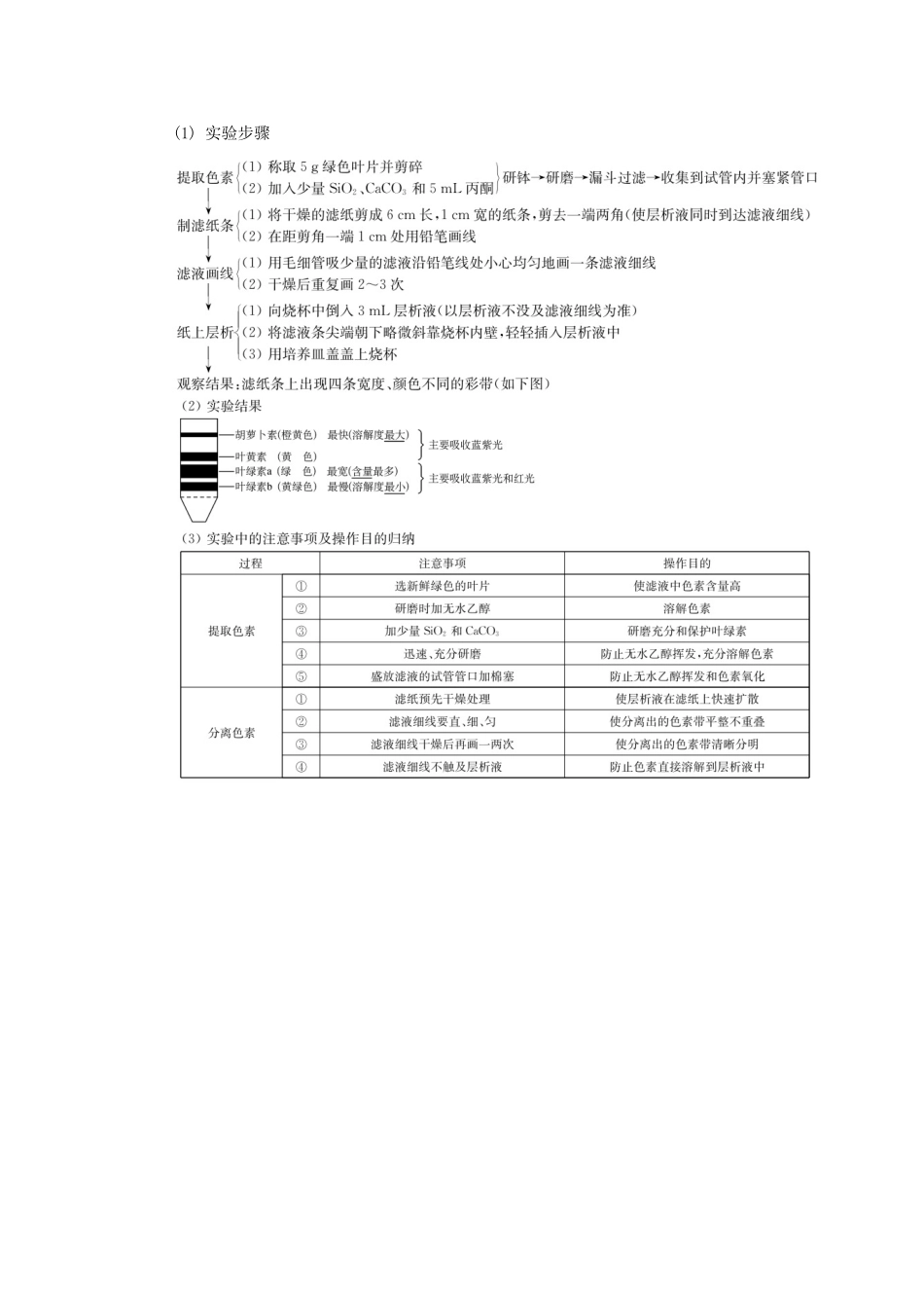 高中生物 第十讲 实验（二）学案 苏教版必修1-苏教版高二必修1生物学案_第3页