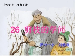 剪枝的学问课件