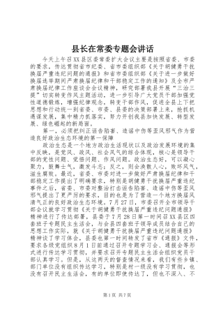 县长在常委专题会讲话发言