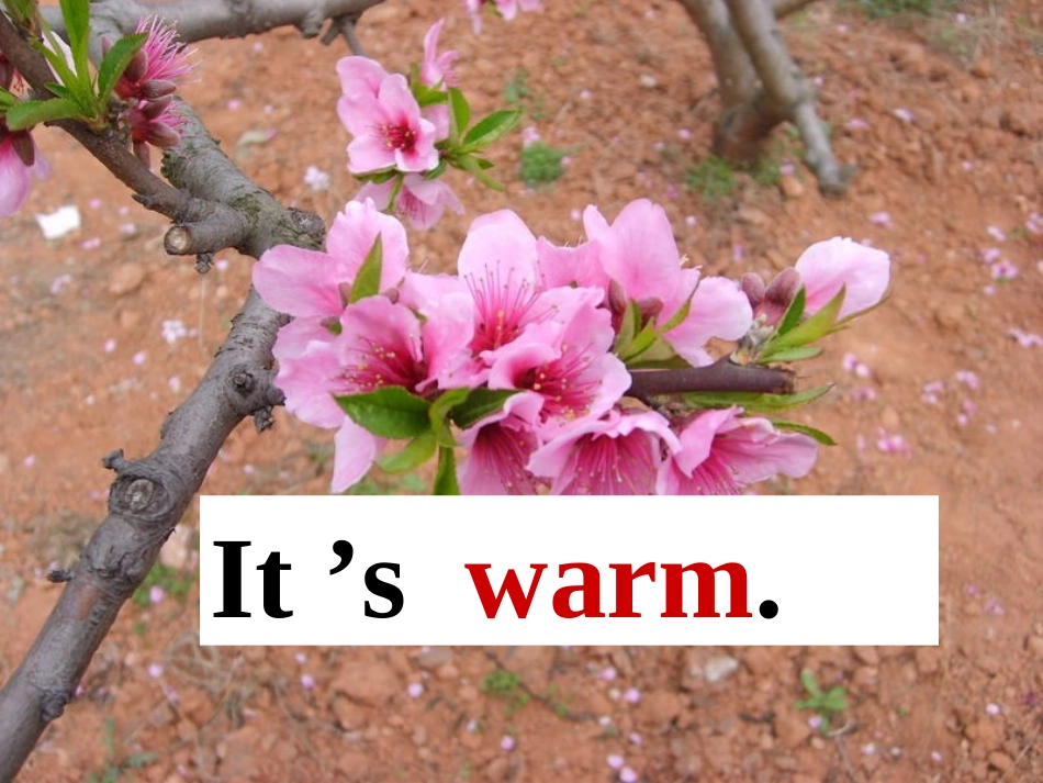 人教版_小学英语_it's__warm_第3页