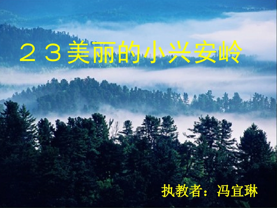 美丽的小兴安岭 (6)_第1页