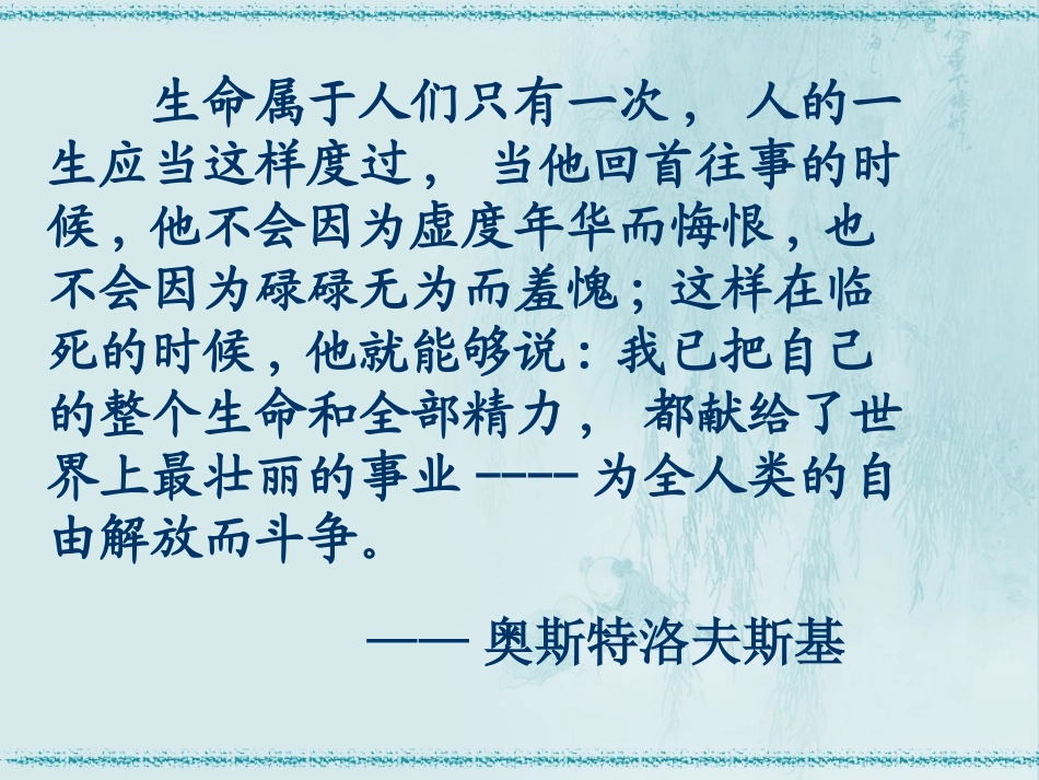 《钢铁是这样炼成的》_第1页