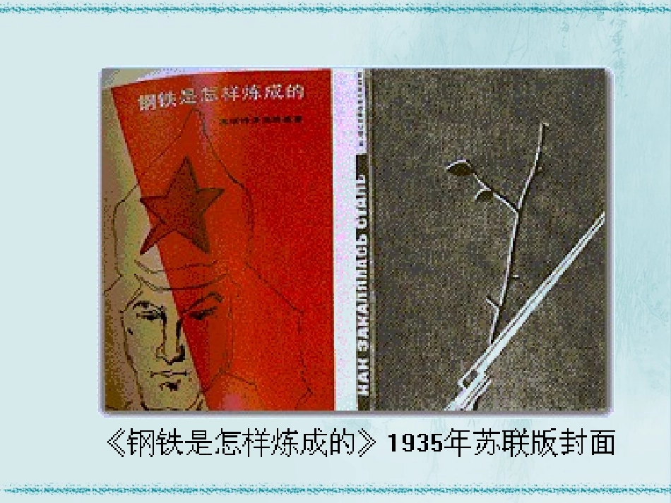 《钢铁是这样炼成的》_第2页