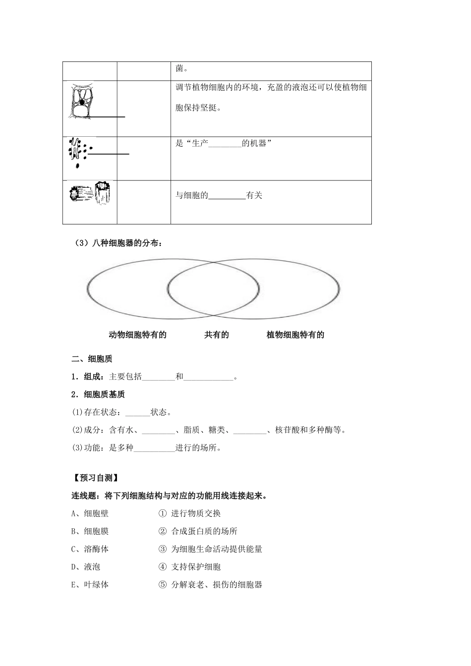 高中生物 第三章 细胞的基本结构 3.2 细胞器1学案 新人教版必修1-新人教版高一必修1生物学案_第2页
