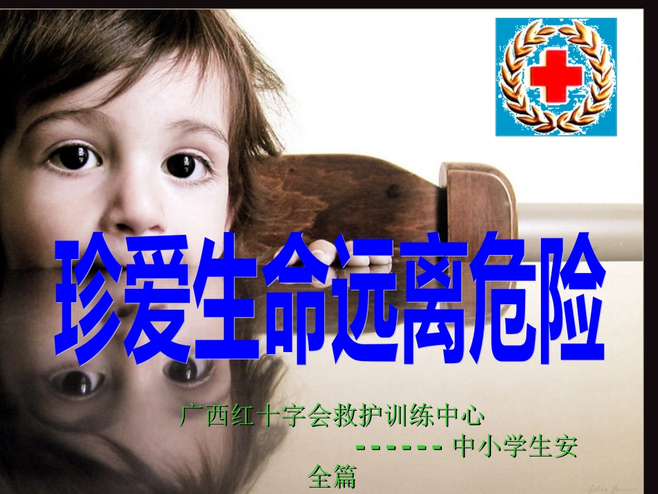 中小学安全沈_第2页