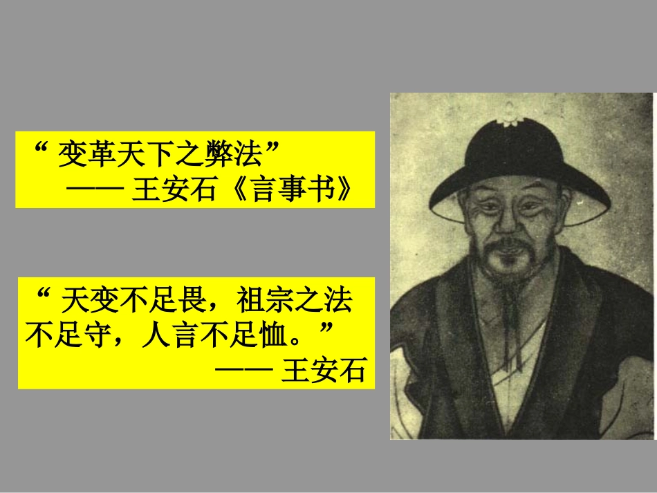 王安石变法的主要内容_第2页