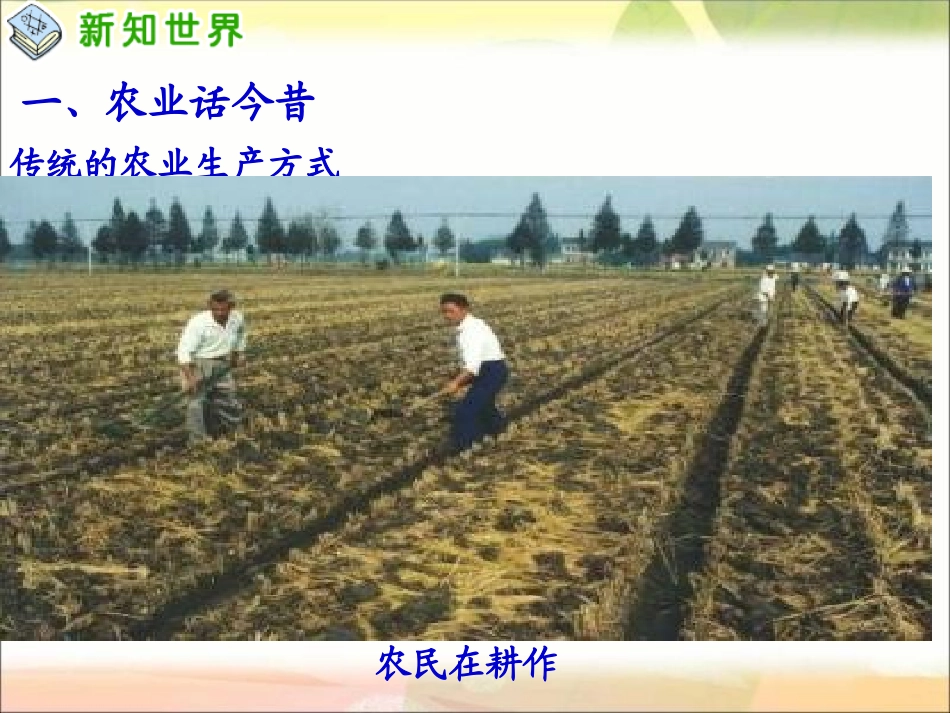 吃穿用哪里来_第2页