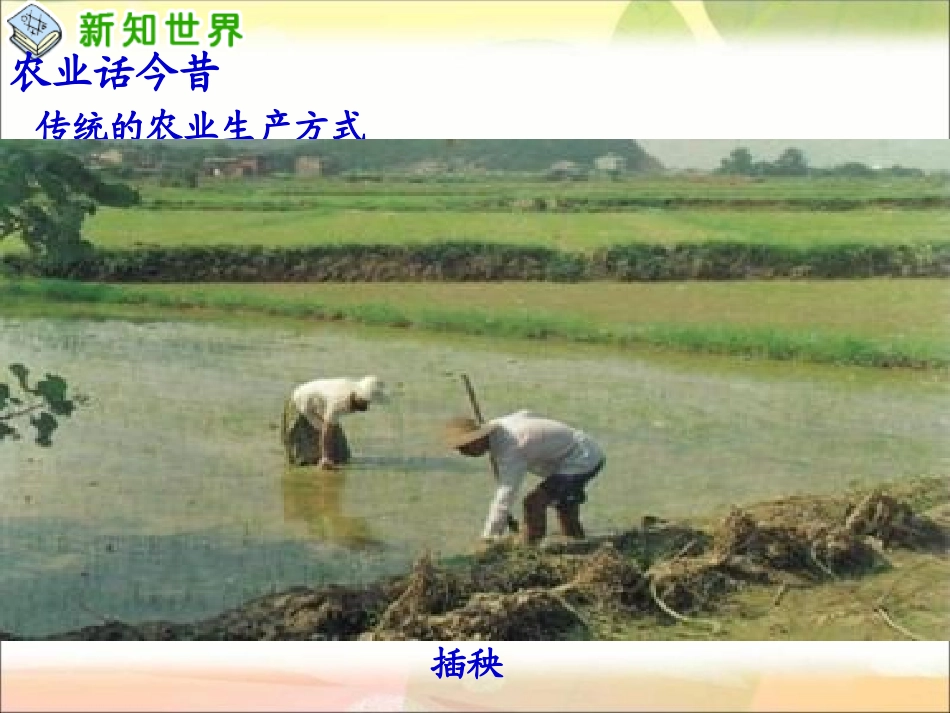 吃穿用哪里来_第3页