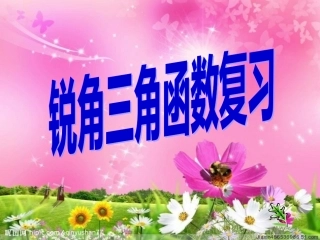 《锐角三角函数复习》课件