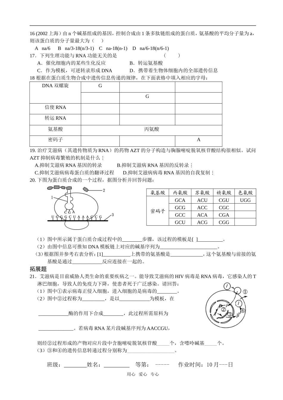 4.1课题基因指导蛋白质的合成11（课后卷）_第2页