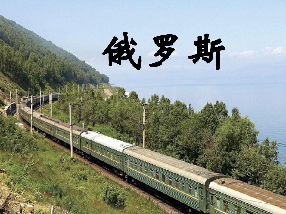 俄罗斯2013_第1页