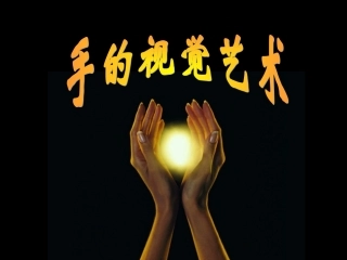 手的视觉艺术PPT
