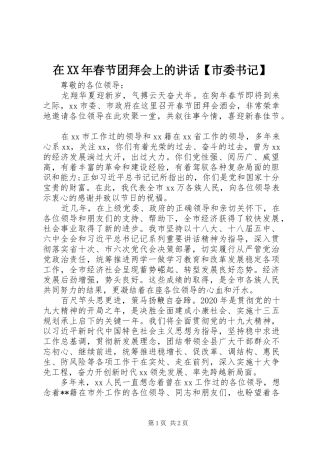 在XX年春节团拜会上的讲话发言【市委书记】