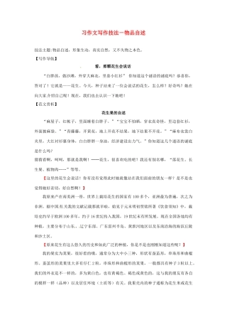 辽宁省凌海市石山初级中学中考语文 习作文写作技法 物品自述复习教案