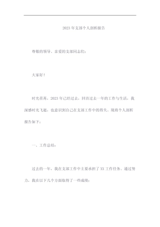 2023年支部个人剖析报告