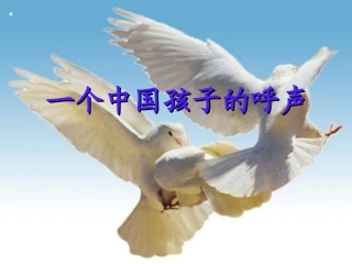 《一个中国孩子的呼声》课件3