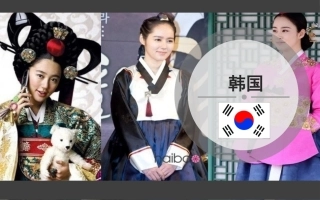 韩剧及韩影文化