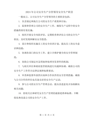2024年公司安全生产分管领导安全生产职责