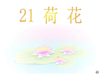 语文荷花课件人教版三年级下