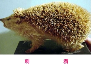 人教版小学语文二年级上册《称赞》PPT课件