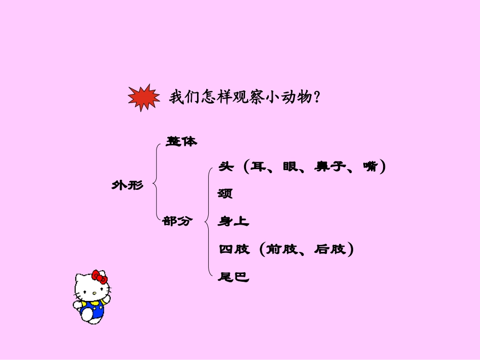 描写小动物的PPT课件_第2页