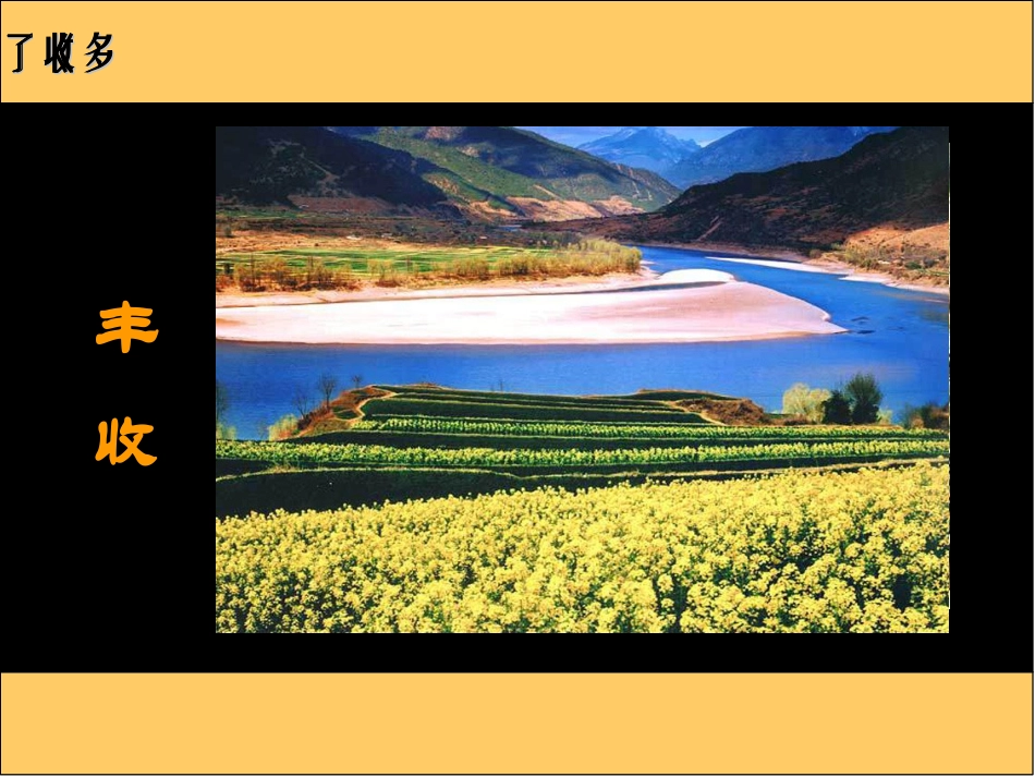 《多收了三五斗》课件4_第2页