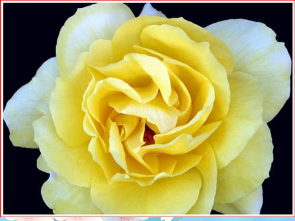 《花钟》参赛课件_第2页