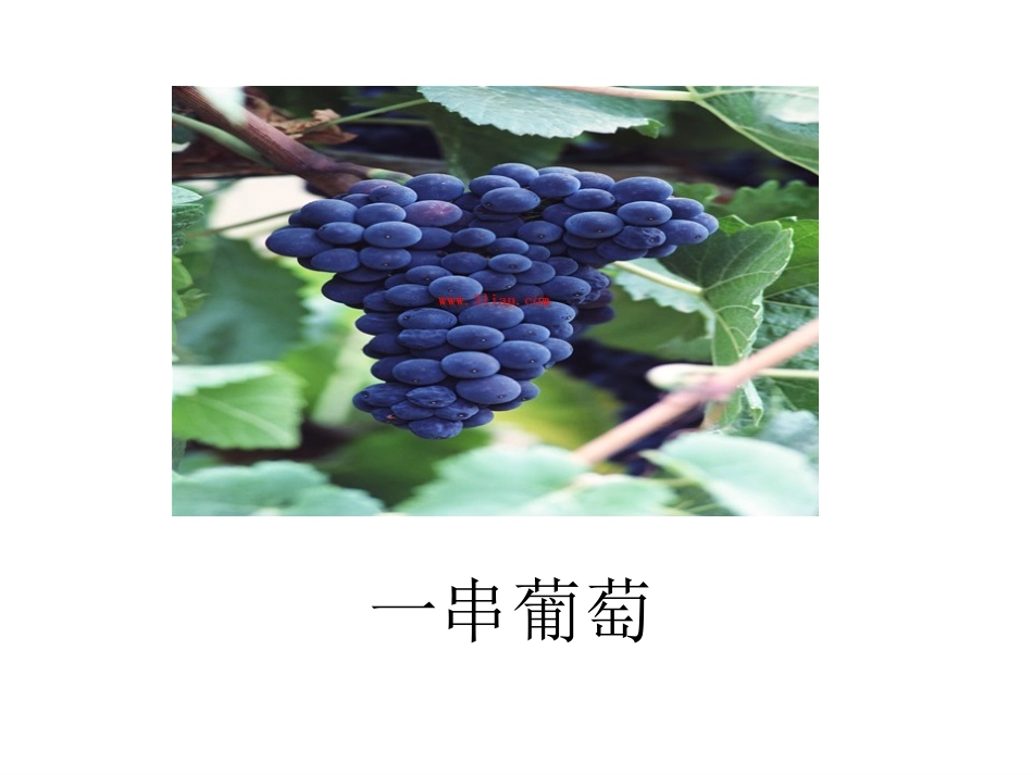 《酸的和甜的》课件_第2页