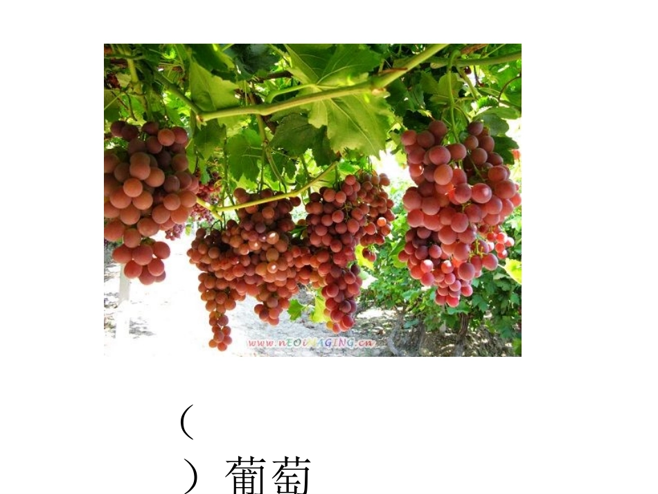 《酸的和甜的》课件_第3页