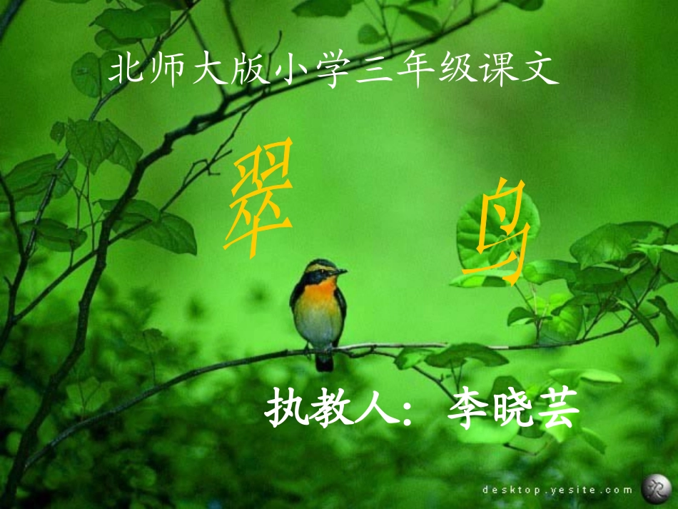 三年级语文上册《翠鸟》课件李晓芸_第1页