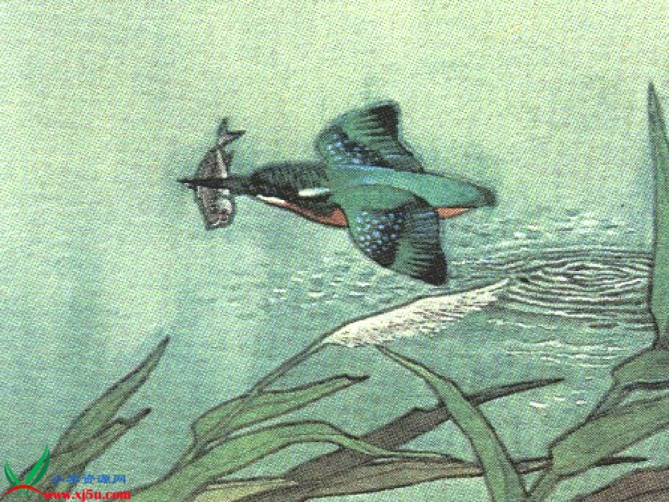 三年级语文上册《翠鸟》课件李晓芸_第3页