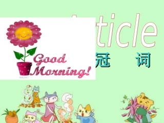 中考英语冠词复习2