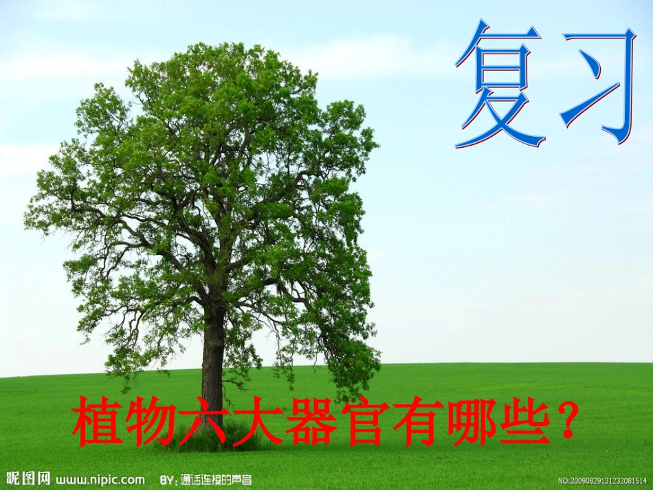 根与茎的奥秘_第2页
