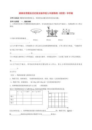 湖南省茶陵县世纪星实验学校九年级物理《密度》导学案（无答案）