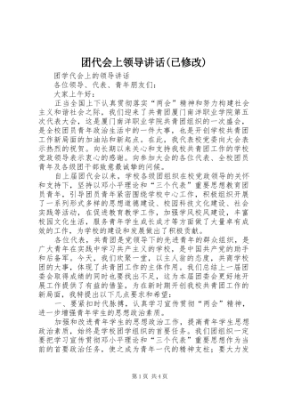 团代会上领导讲话发言(已修改)