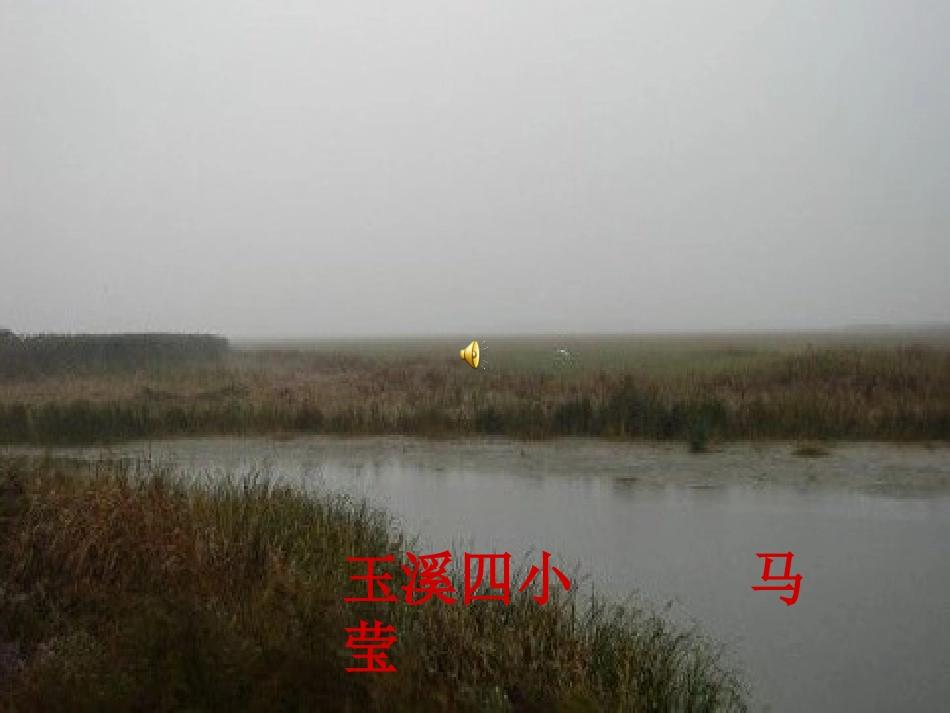美丽的丹顶鹤_第1页