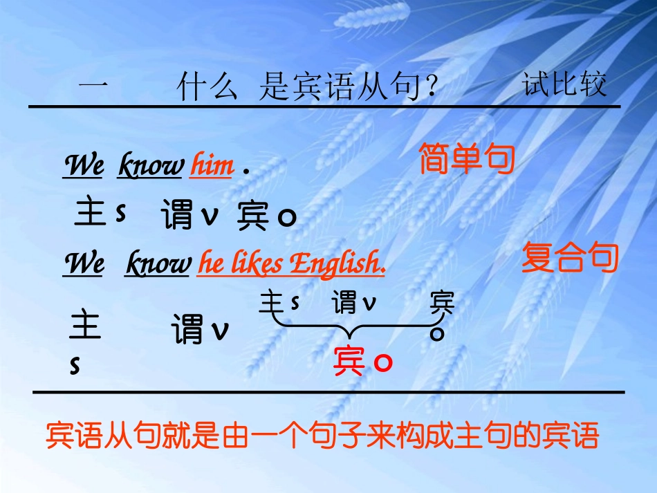 强烈推荐!初中英语宾语从句复习课件_第3页