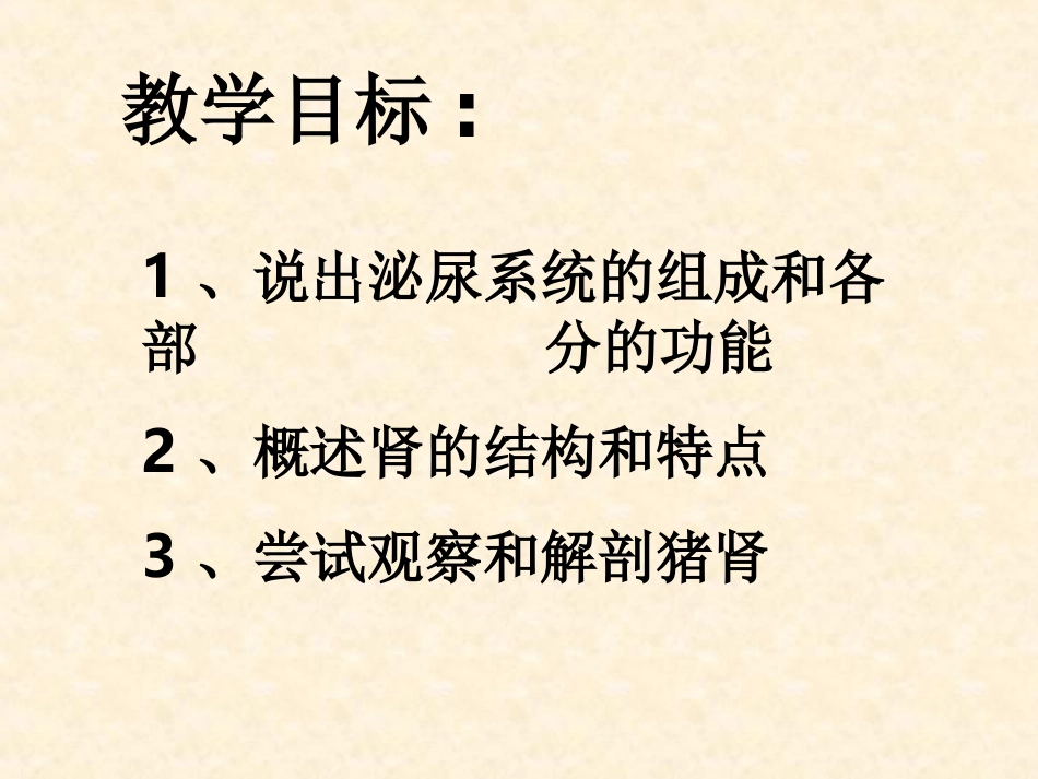 人体泌尿系统的组成及功能课件_第2页