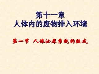 人体泌尿系统的组成及功能课件